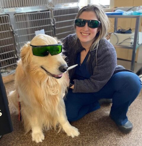 vet with laser therapy